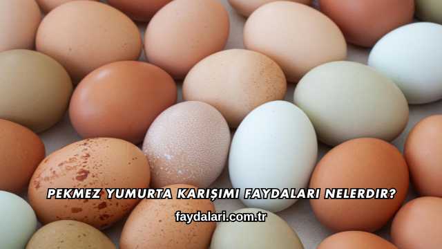 Pekmez Yumurta Karışımı Faydaları Nelerdir?