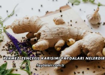 Pekmez Zencefil Karışımı Faydaları Nelerdir?