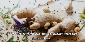 Pekmez Zencefil Karışımı Faydaları Nelerdir?