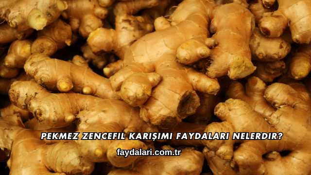 Pekmez Zencefil Karışımı Faydaları Nelerdir?