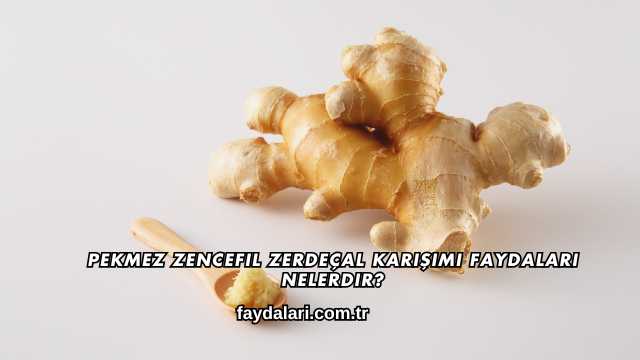 Pekmez Zencefil Zerdeçal Karışımı Faydaları Nelerdir?
