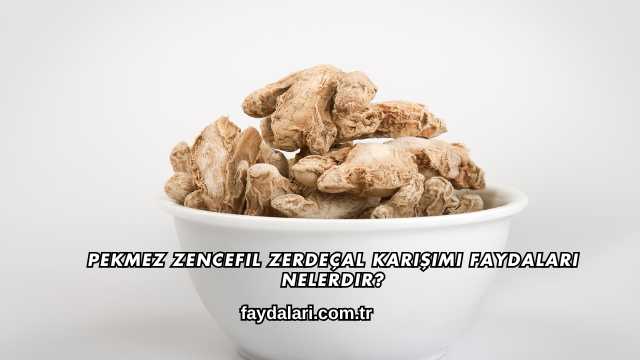 Pekmez Zencefil Zerdeçal Karışımı Faydaları Nelerdir?