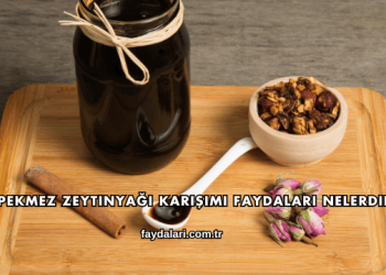 Pekmez Zeytinyağı Karışımı Faydaları Nelerdir?