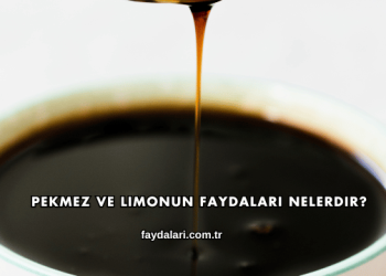 Pekmez ve Limonun Faydaları Nelerdir?