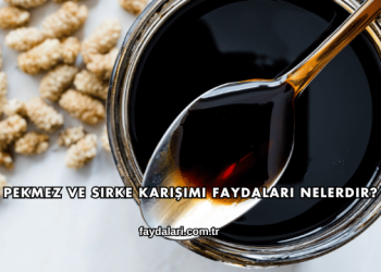 Pekmez ve Sirke Karışımı Faydaları Nelerdir?