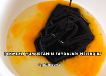 Pekmezli Yumurtanın Faydaları Nelerdir?
