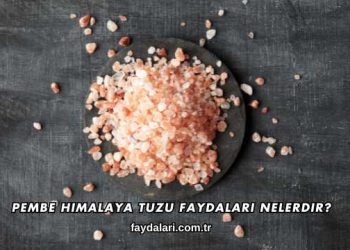 Pembe Himalaya Tuzu Faydaları Nelerdir?
