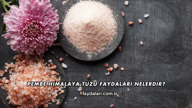 Pembe Himalaya Tuzu Faydaları Nelerdir?