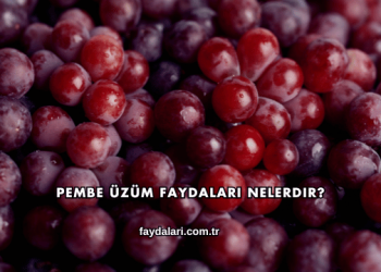Pembe Üzüm Faydaları Nelerdir?