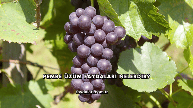 Pembe Üzüm Faydaları Nelerdir?