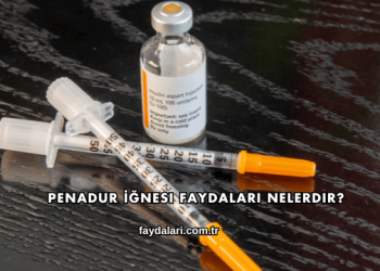 Penadur İğnesi Faydaları Nelerdir?