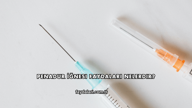 Penadur İğnesi Faydaları Nelerdir?
