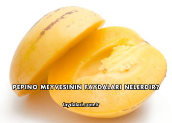 Pepino Meyvesinin Faydaları Nelerdir?
