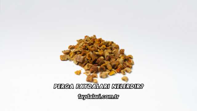 Perga Faydaları Nelerdir?