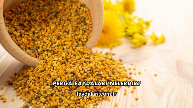 Perga Faydaları Nelerdir?