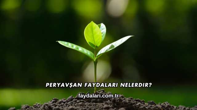 Peryavşan Faydaları Nelerdir?