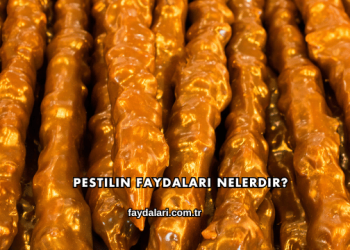 Pestilin Faydaları Nelerdir?