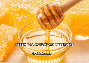 Petek Bal Faydaları Nelerdir?