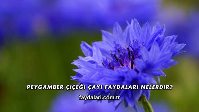Peygamber Çiçeği Çayı Faydaları Nelerdir?
