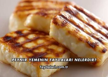 Peynir Yemenin Faydaları Nelerdir?