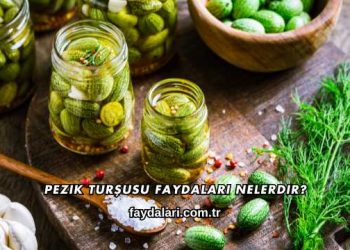 Pezik Turşusu Faydaları Nelerdir?