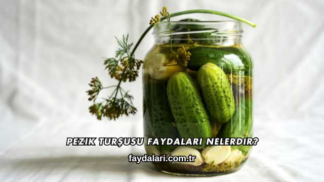 Pezik Turşusu Faydaları Nelerdir?
