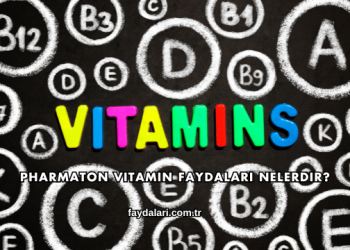 Pharmaton Vitamin Faydaları Nelerdir?