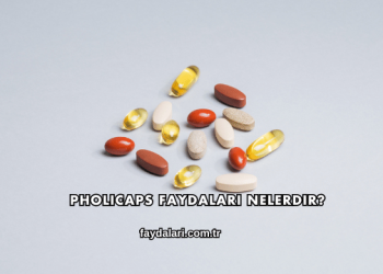 Pholicaps Faydaları Nelerdir?