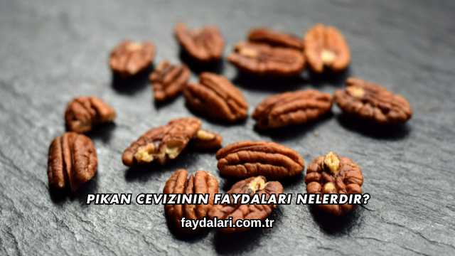 Pikan Cevizinin Faydaları Nelerdir?