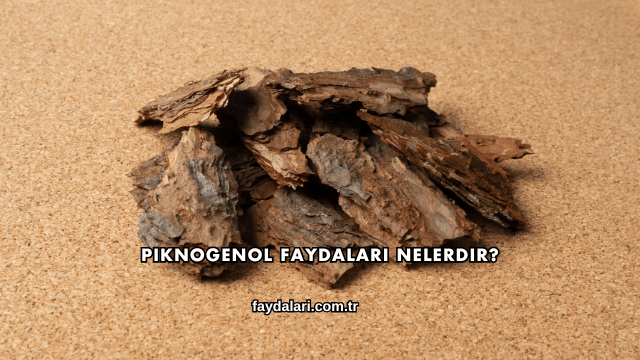 Piknogenol Faydaları Nelerdir?