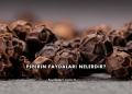 Piperin Faydaları Nelerdir?