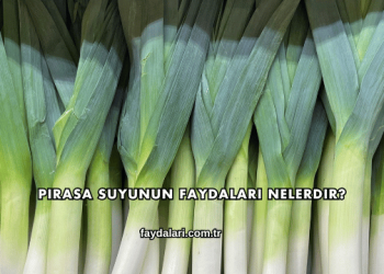 Pırasa Suyunun Faydaları Nelerdir?