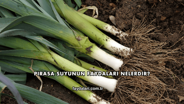 Pırasa Suyunun Faydaları Nelerdir?