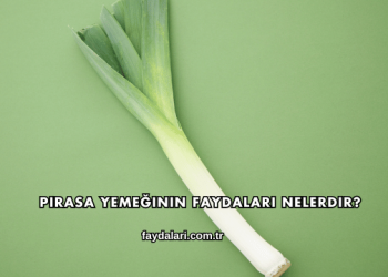 Pırasa Yemeğinin Faydaları Nelerdir?