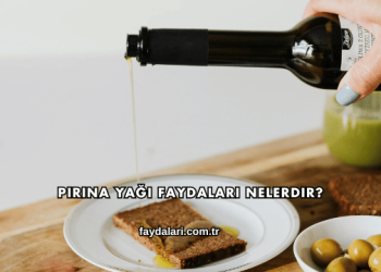Pirina Yağı Faydaları Nelerdir?