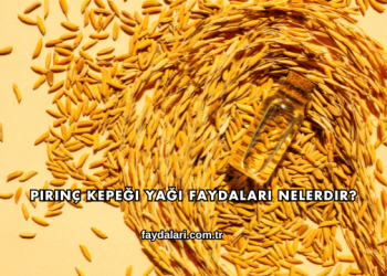 Pirinç Kepeği Yağı Faydaları Nelerdir?