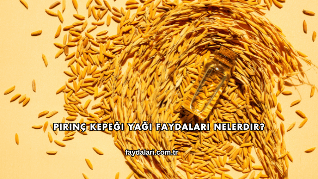 Pirinç Kepeği Yağı Faydaları Nelerdir?