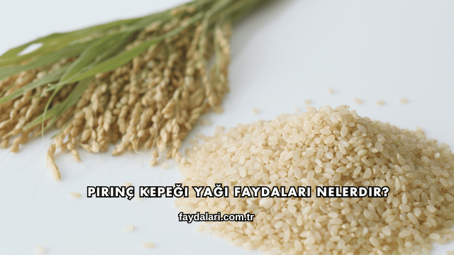Pirinç Kepeği Yağı Faydaları Nelerdir?