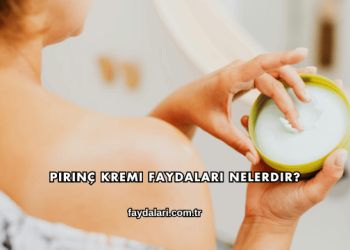 Pirinç Kremi Faydaları Nelerdir?