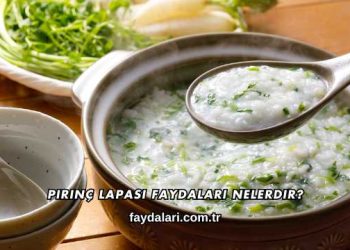 Pirinç Lapası Faydaları Nelerdir?