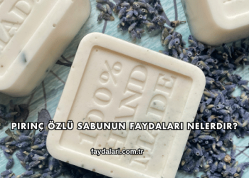 Pirinç Özlü Sabunun Faydaları Nelerdir?