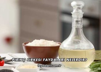 Pirinç Sirkesi Faydaları Nelerdir?