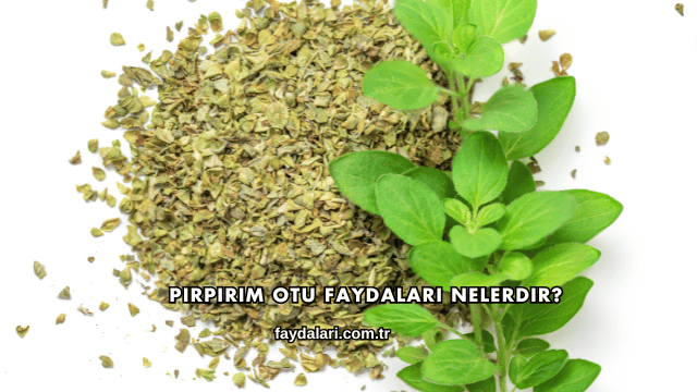 Pirpirim Otu Faydaları Nelerdir?