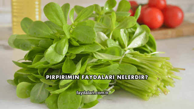 Pirpirimin Faydaları Nelerdir?