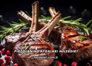 Pirzolanın Faydaları Nelerdir?