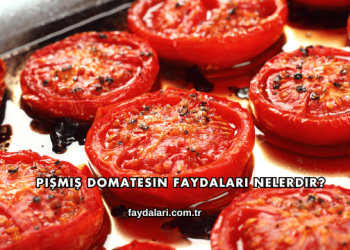 Pişmiş Domatesin Faydaları Nelerdir?