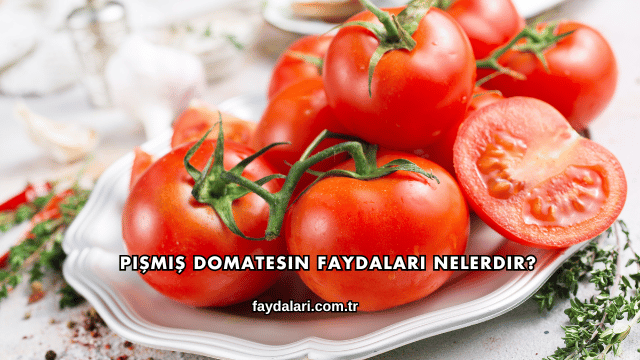 Pişmiş Domatesin Faydaları Nelerdir?