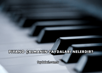 Piyano Çalmanın Faydaları Nelerdir?