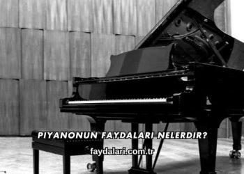 Piyanonun Faydaları Nelerdir?
