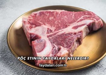 Pöç Etinin Faydaları Nelerdir?